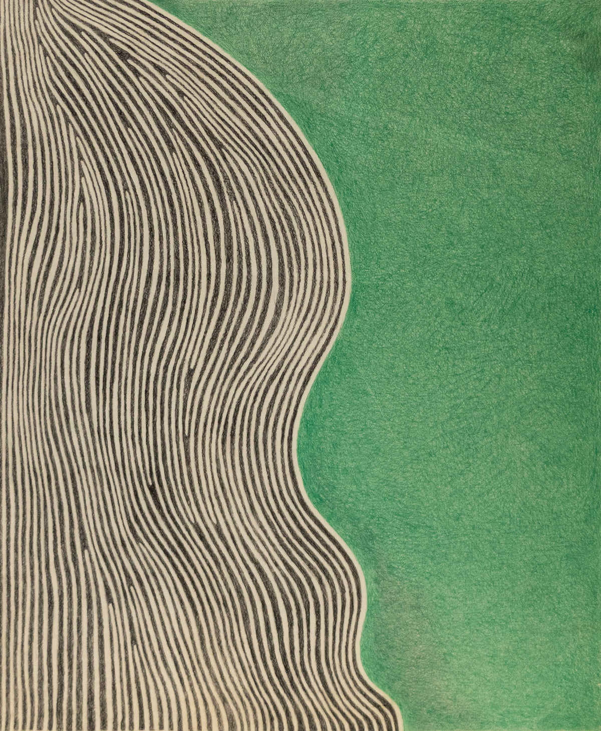 Green Shore, Drawing