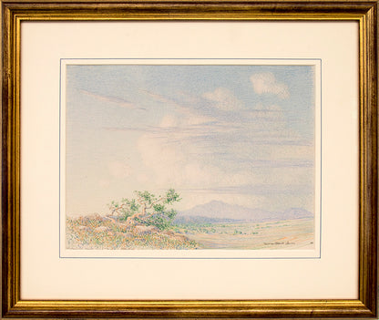 Morning Near Arizona (Desert Landscape), Drawing, 1888