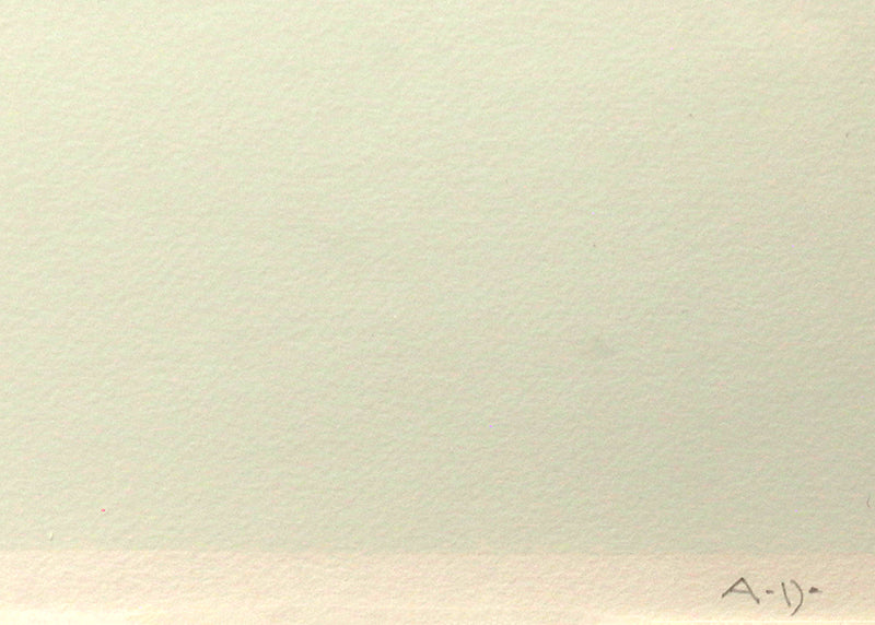 Llano Quemado I (Abstract Landscape), Print, circa 1975