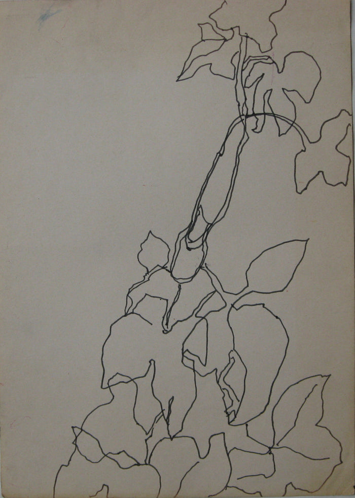 Untitled, Drawing