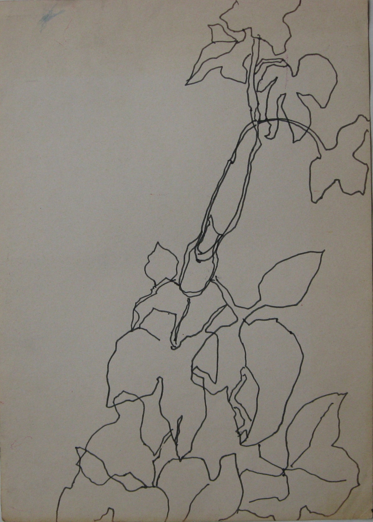 Untitled, Drawing
