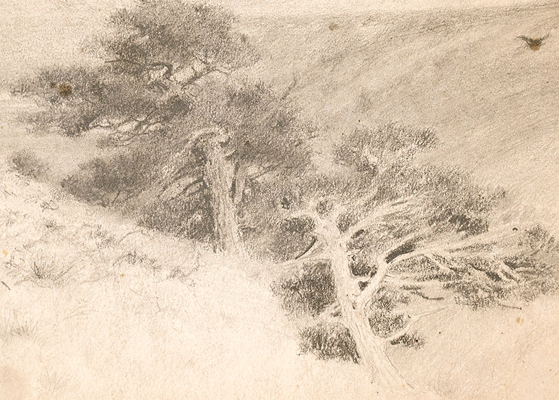 Untitled (Southern Colorado Landscape), Drawing, circa 1910