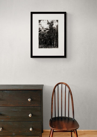 Mt Lassen; 19/20 (Northern California), Print