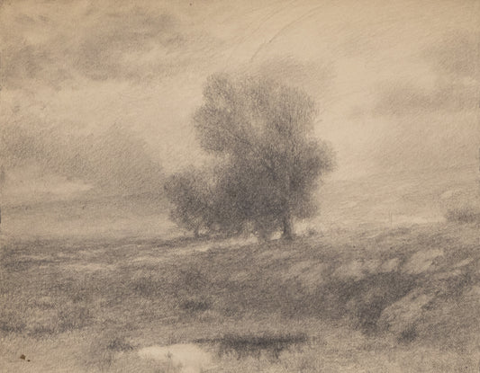 Charles Partridge Adams (1858-1942) artwork for sale. Untitled (Cottonwood Tree), Drawing, circa 1910, Denver, Colorado, Art Gallery)