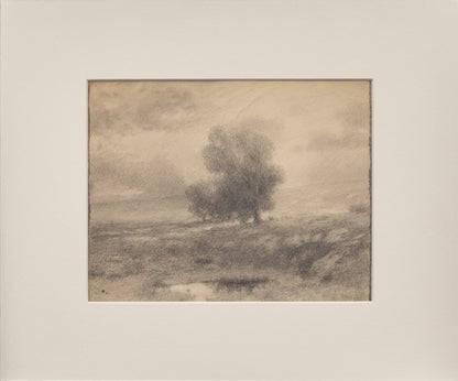 Untitled (Cottonwood Tree), Drawing, circa 1910