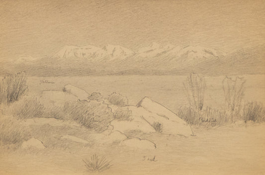 Charles Partridge Adams (1858-1942) artwork for sale. Untitled (Buena Vista), Drawing, circa 1910, Denver, Colorado, Art Gallery)