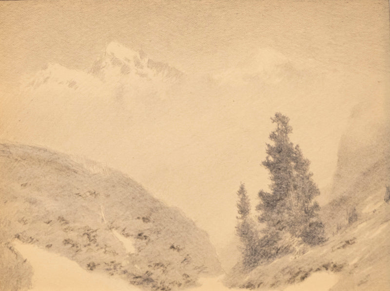 Untitled (Mountain Landscape with Shrub and Pines), Drawing, circa 1910