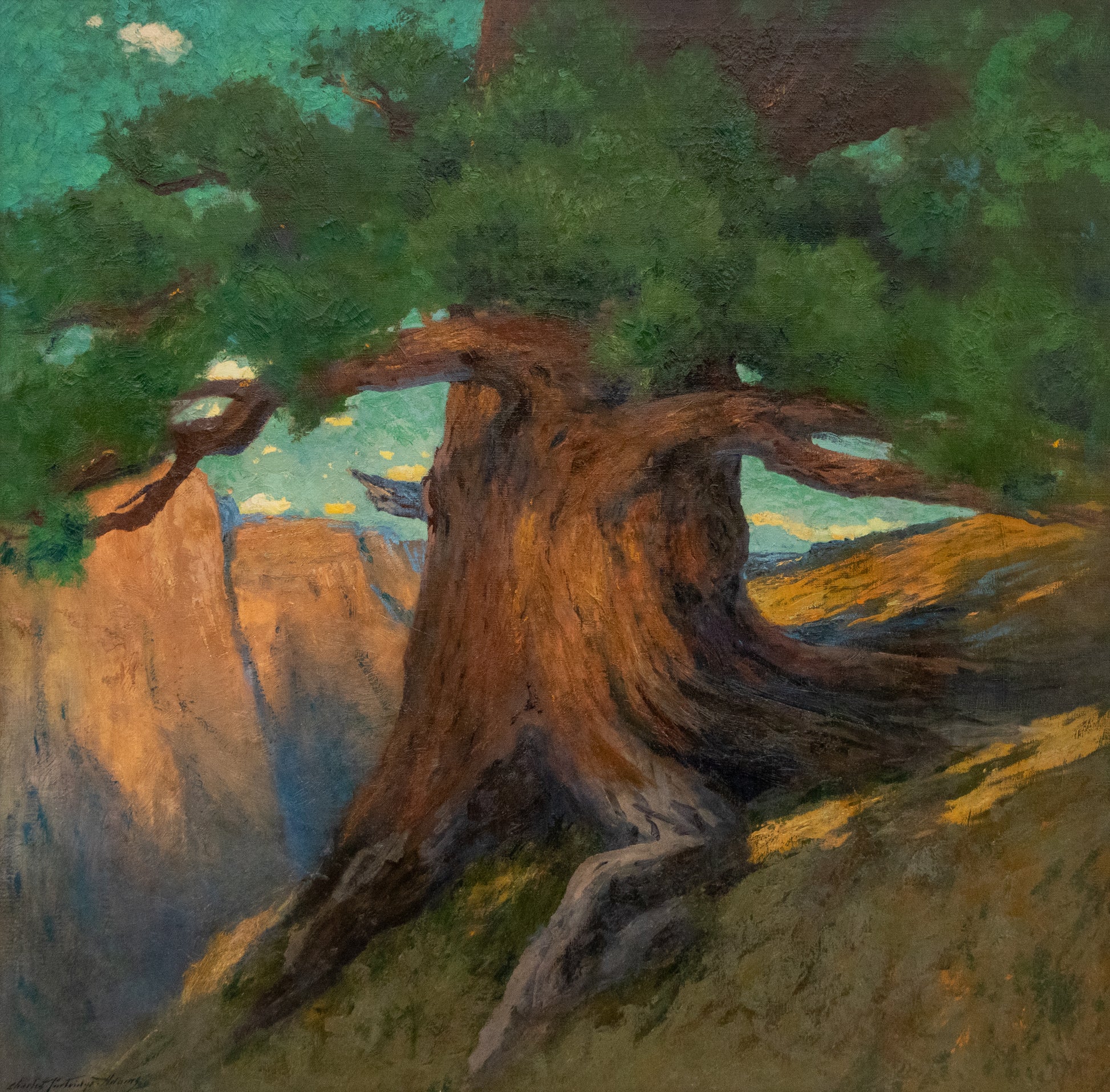Charles Partridge Adams (1858-1942) artwork for sale. Untitled (Ancient Tree in Canyon Landscape), Painting, Denver, Colorado, Art Gallery)