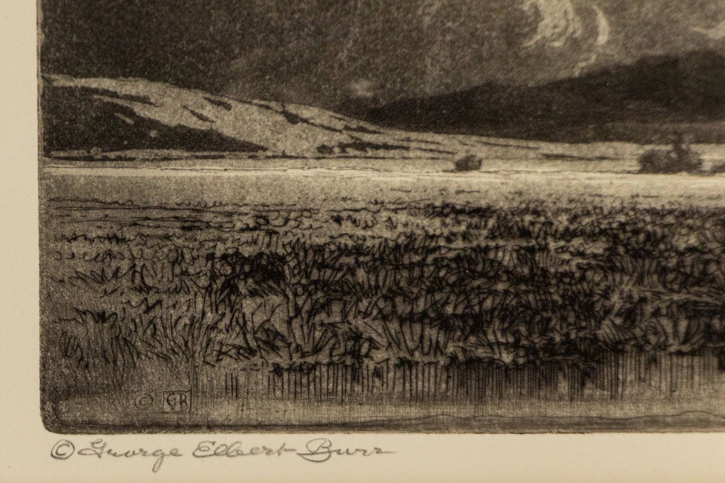 Old Cottonwoods, Denver, Colorado (Landscape with Cottonwoods and Hay Bales), Print, circa 1920