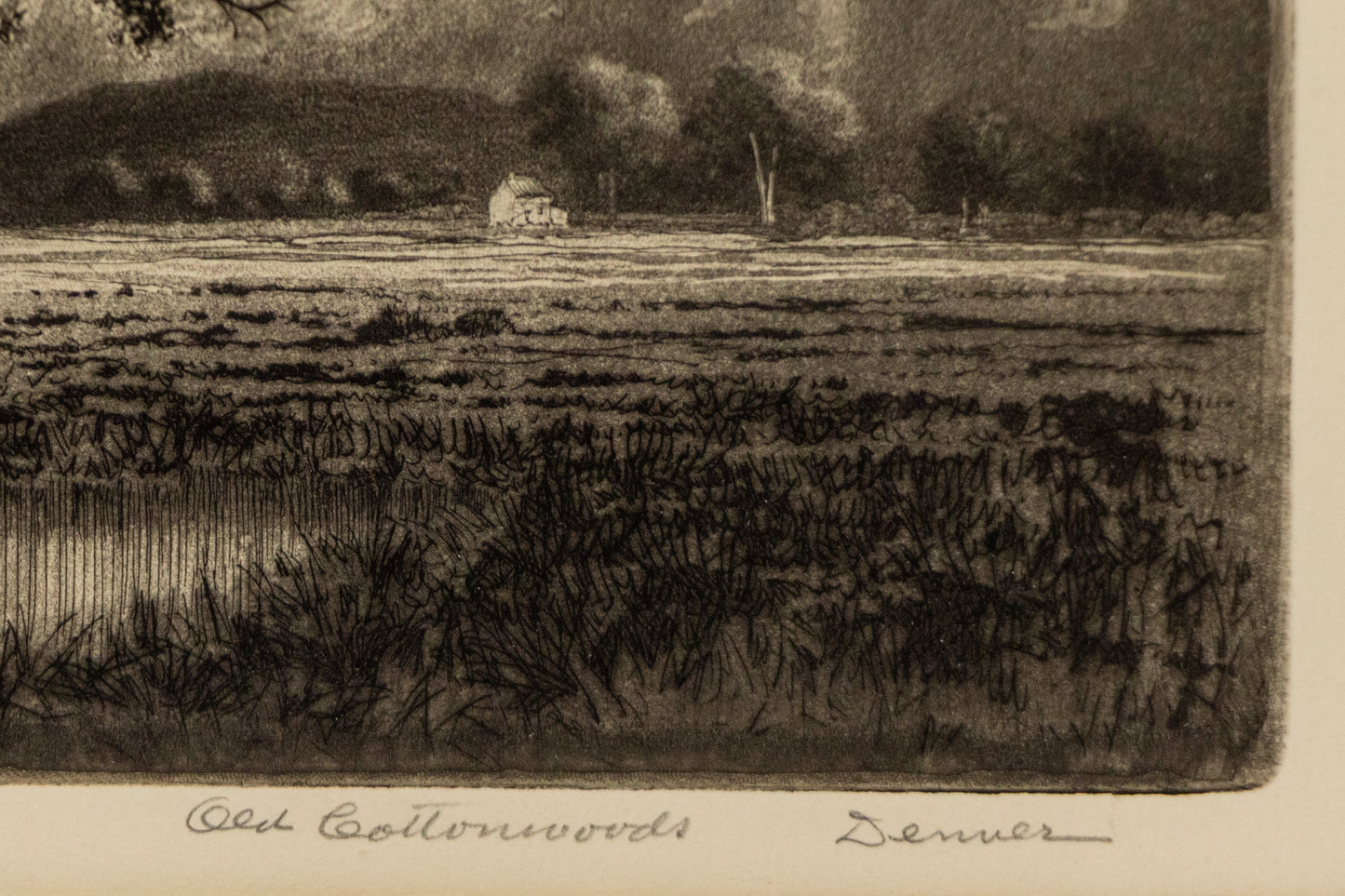 Old Cottonwoods, Denver, Colorado (Landscape with Cottonwoods and Hay Bales), Print, circa 1920