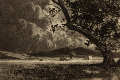 Old Cottonwoods, Denver, Colorado (Landscape with Cottonwoods and Hay Bales), Print, circa 1920