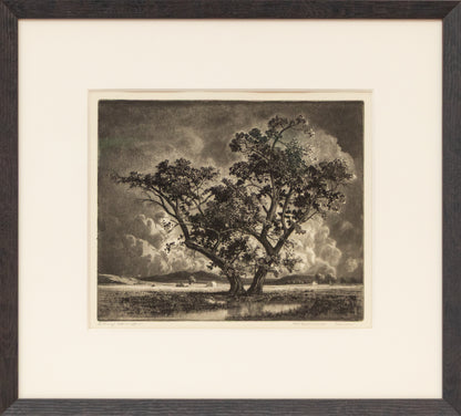 Old Cottonwoods, Denver, Colorado (Landscape with Cottonwoods and Hay Bales), Print, circa 1920
