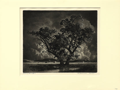 Old Cottonwoods, Denver, Colorado (Landscape with Cottonwoods and Hay Bales), Print, circa 1920