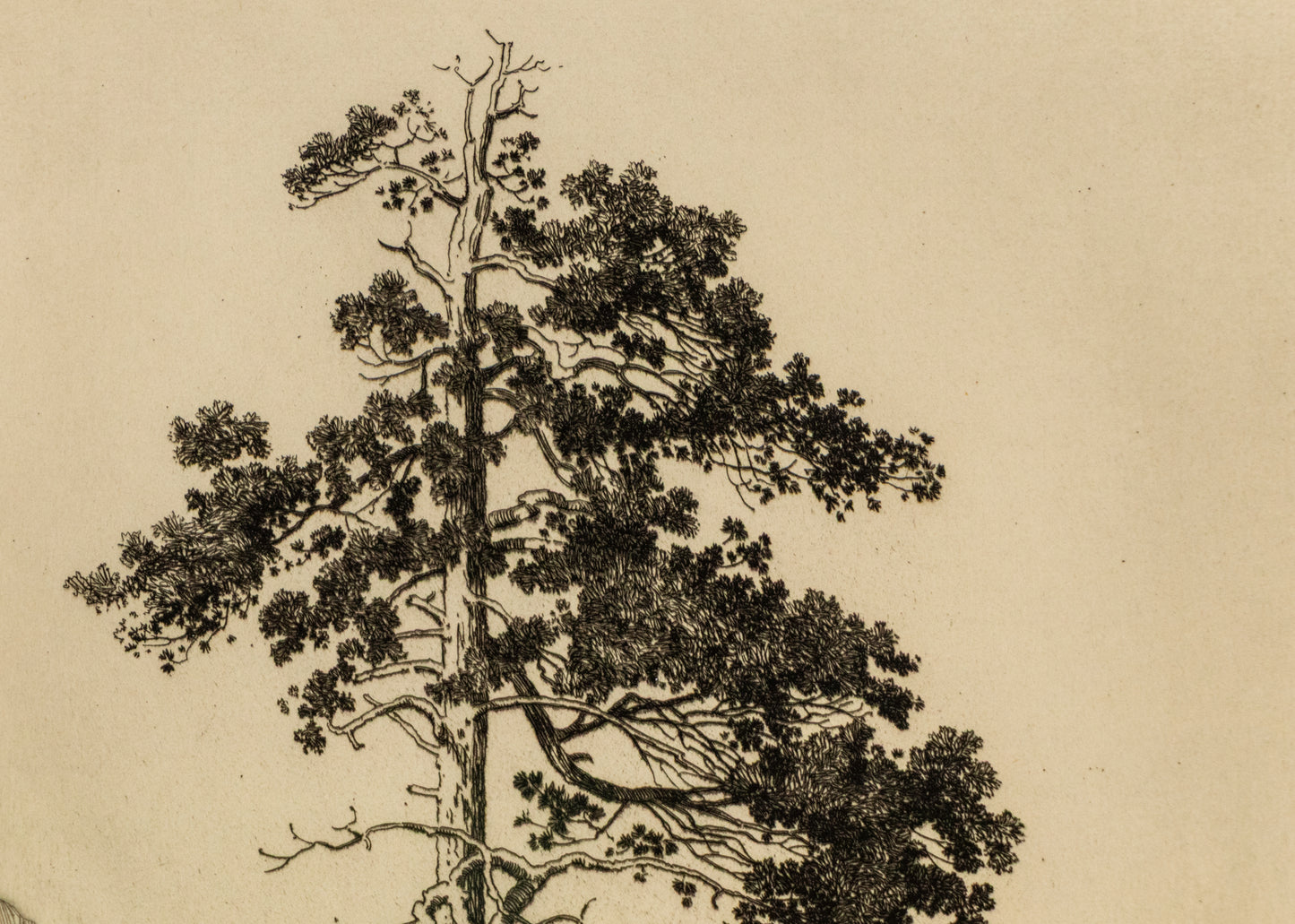 Moraine Park, Estes Park, Colorado (Mountain Moods), Print, circa 1916