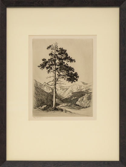 Moraine Park, Estes Park, Colorado (Mountain Moods), Print, circa 1916