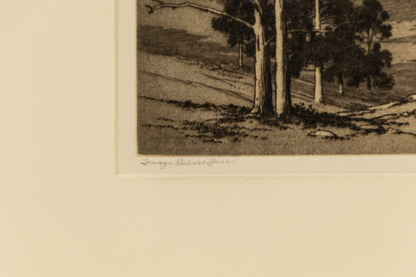 Black Canyon, Colorado (Estes Park, Colorado - Mountain Moods), Print, circa 1916