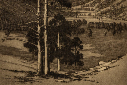 Black Canyon, Colorado (Estes Park, Colorado - Mountain Moods), Print, circa 1916