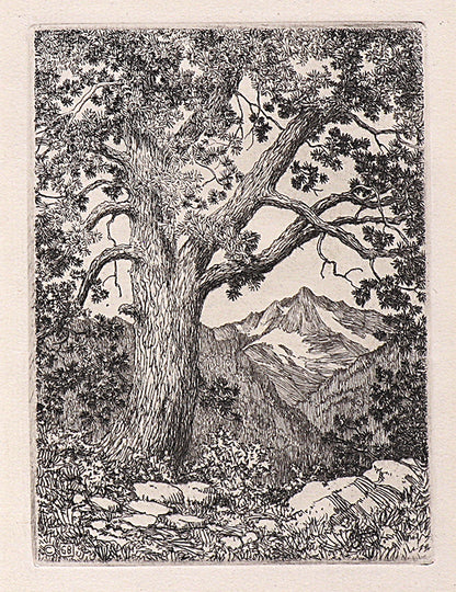 George Elbert Burr (1859-1939) artwork for sale. Moraine Park, Estes Park, Colorado (Summer), Print, 1921, Denver, Colorado, Art Gallery)