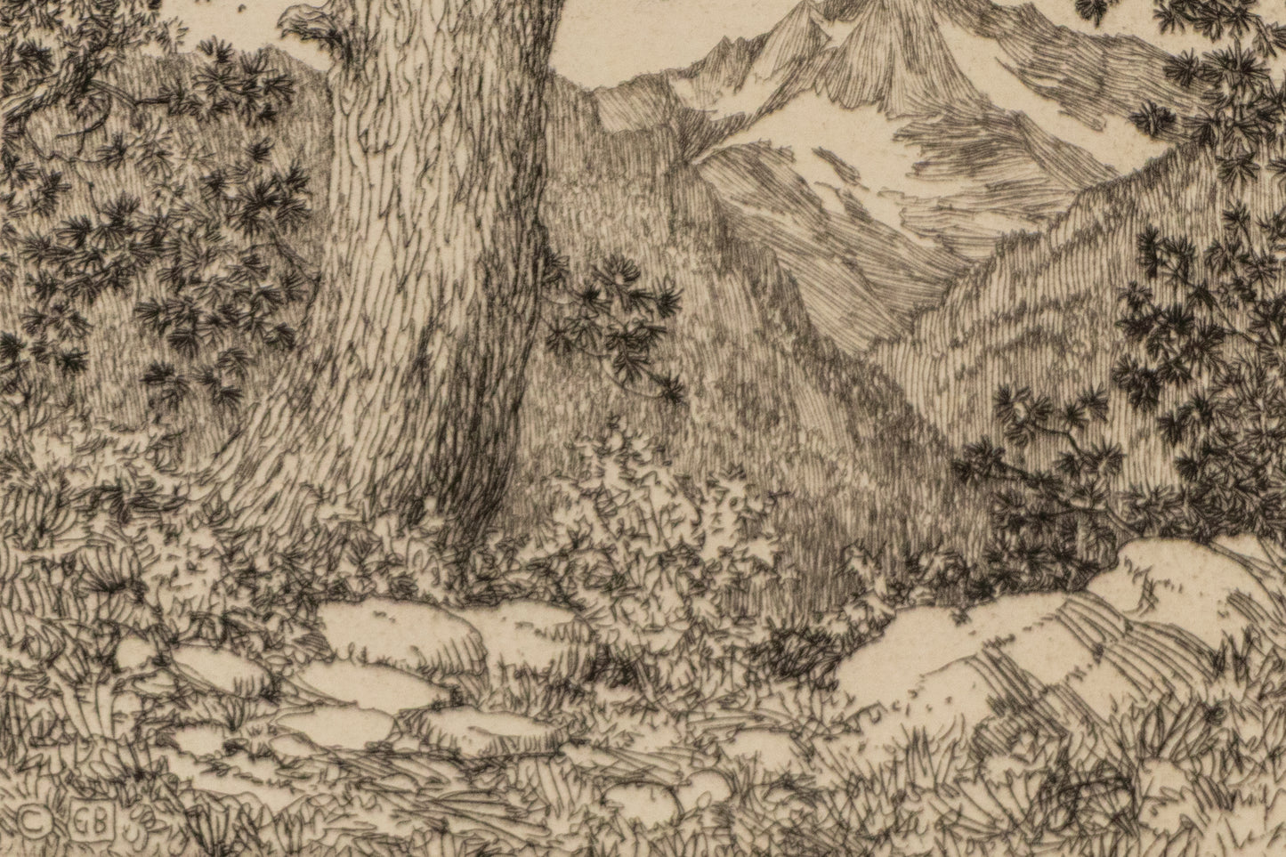 Moraine Park, Estes Park, Colorado (Summer), Print, 1921