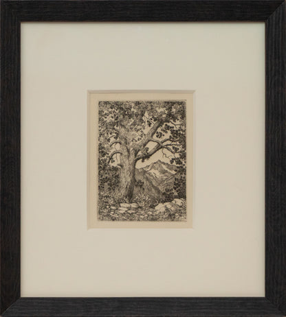 Moraine Park, Estes Park, Colorado (Summer), Print, 1921