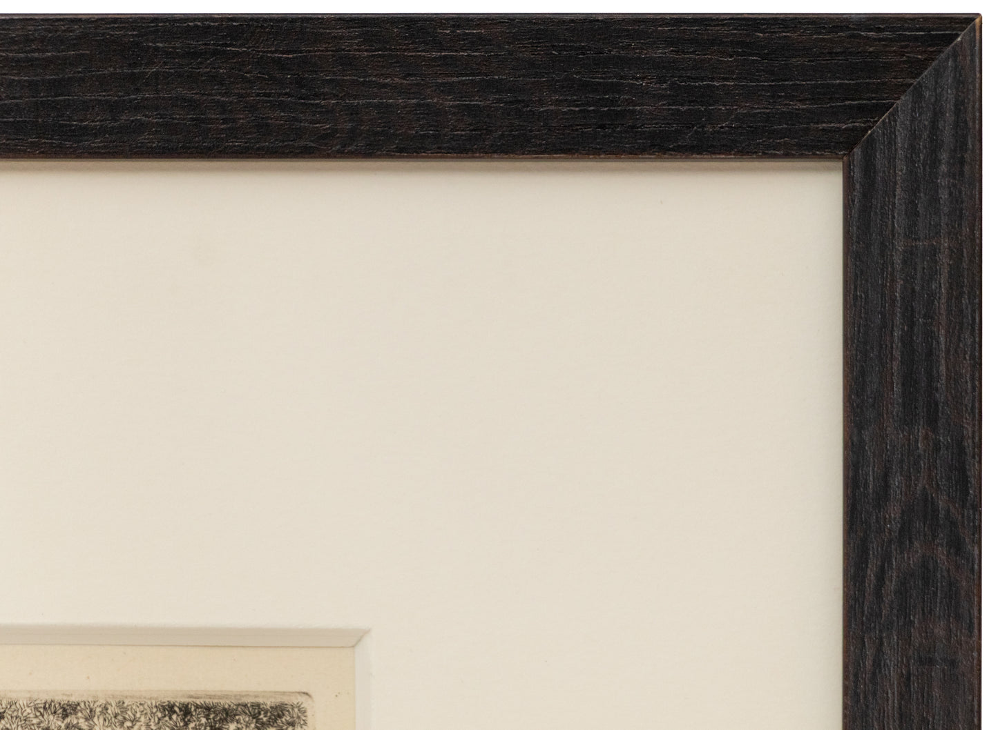 Moraine Park, Estes Park, Colorado (Summer), Print, 1921