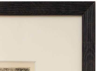 Moraine Park, Estes Park, Colorado (Summer), Print, 1921