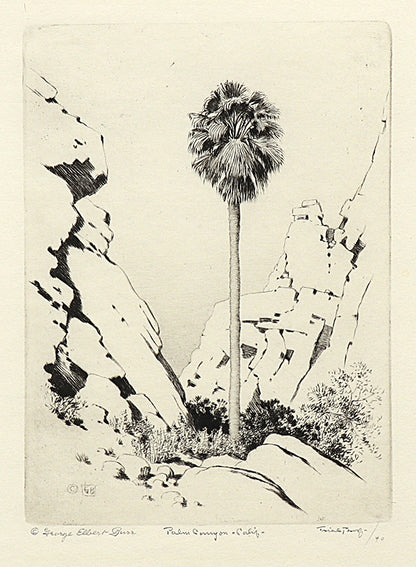 George Elbert Burr (1859-1939) artwork for sale. Palm Canyon, California (Desert Set), Print, circa 1921, Denver, Colorado, Art Gallery)