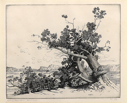 George Elbert Burr (1859-1939) artwork for sale. Old Cedars, New Mexico (Desert Set), Print, circa 1921, Denver, Colorado, Art Gallery)