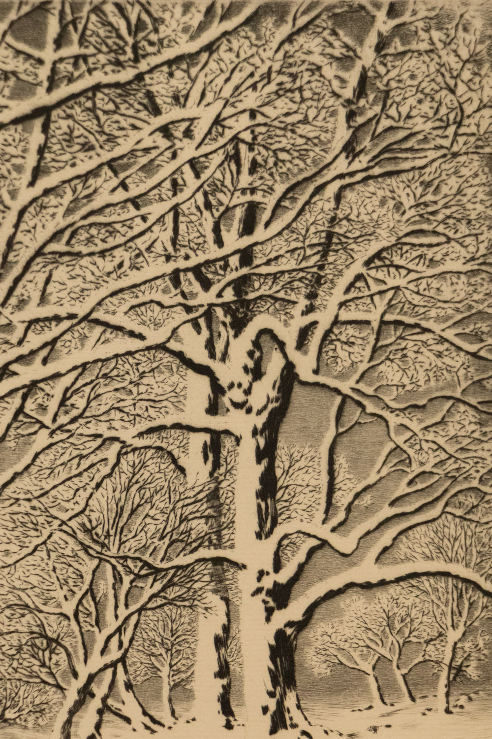 Brook in Winter, No. 3 (Winter Landscape with Trees and Creek), Print, circa 1920