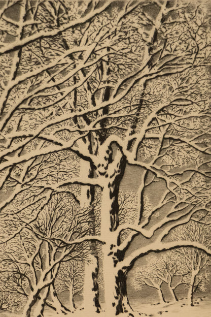 Brook in Winter, No. 3 (Winter Landscape with Trees and Creek), Print, circa 1920