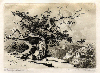 George Elbert Burr (1859-1939) artwork for sale. Evening, Apache Trail, Arizona (Landscape with Canyon and Pinon Pine), Print, circa 1925, Denver, Colorado, Art Gallery)