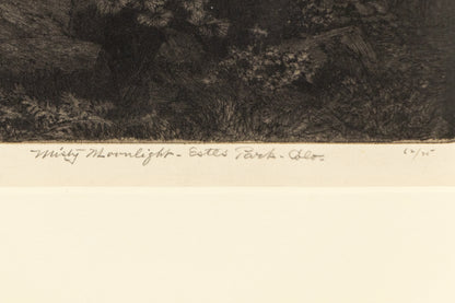 Misty Moonlight, Estes Park, Colorado (Nocturnal Mountain Landscape), Print, circa 1915