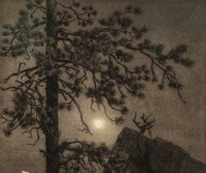 Misty Moonlight, Estes Park, Colorado (Nocturnal Mountain Landscape), Print, circa 1915