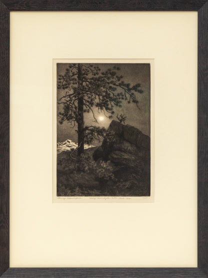 Misty Moonlight, Estes Park, Colorado (Nocturnal Mountain Landscape), Print, circa 1915