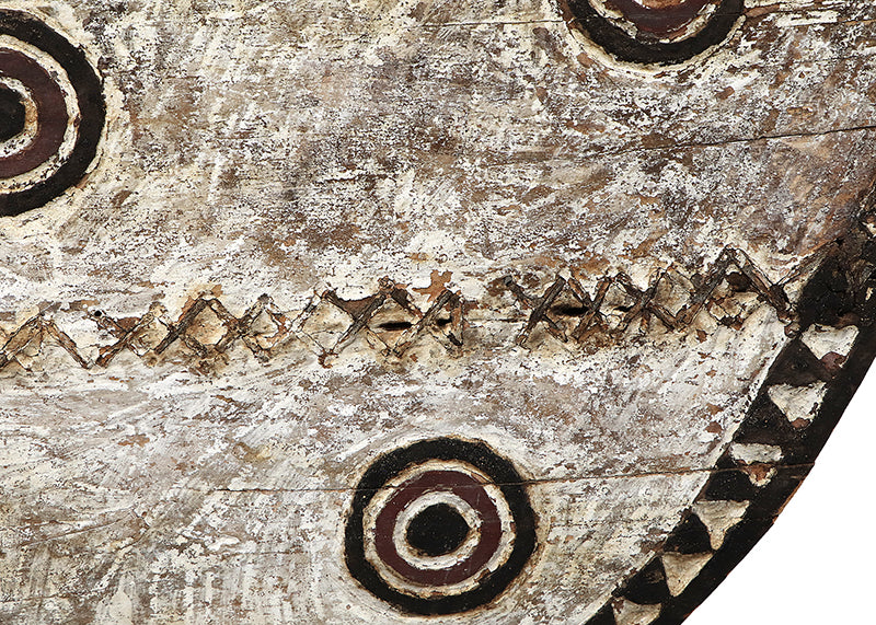 Hawk Moth