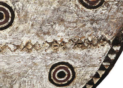 Hawk Moth