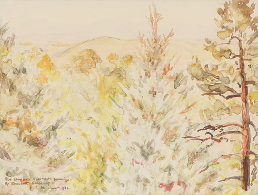 Elisabeth Spalding (1868-1954) artwork for sale. Blue Spruce, Colorado Springs (Trees in a Colorado Mountain Landscape), Painting, 1942, Denver, Colorado, Art Gallery)