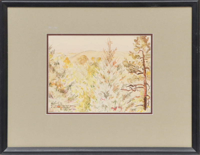 Blue Spruce, Colorado Springs (Trees in a Colorado Mountain Landscape), Painting, 1942
