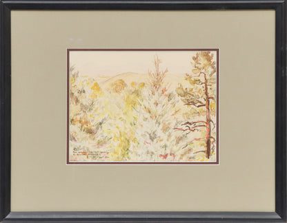 Blue Spruce, Colorado Springs (Trees in a Colorado Mountain Landscape), Painting, 1942