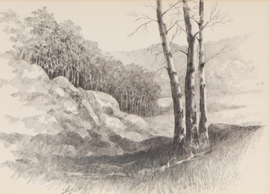 Herbert Thomson (1926-2001) artwork for sale. Untitled (Aspen Grove, Colorado), Drawing, Denver, Colorado, Art Gallery)