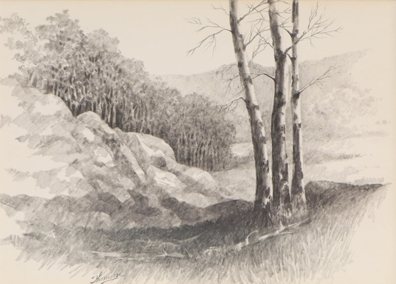 Untitled (Aspen Grove, Colorado), Drawing