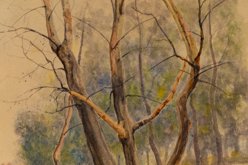 Untitled (Spring Trees, Near Denver, Colorado), Painting, 1888