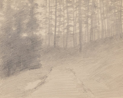 Charles Partridge Adams (1858-1942) artwork for sale. Untitled (Mountain Forest Path), Drawing, circa 1910, Denver, Colorado, Art Gallery)