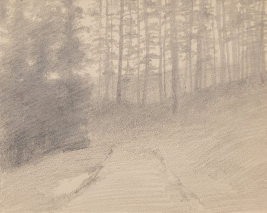 Charles Partridge Adams (1858-1942) artwork for sale. Untitled (Mountain Forest Path), Drawing, circa 1910, Denver, Colorado, Art Gallery)
