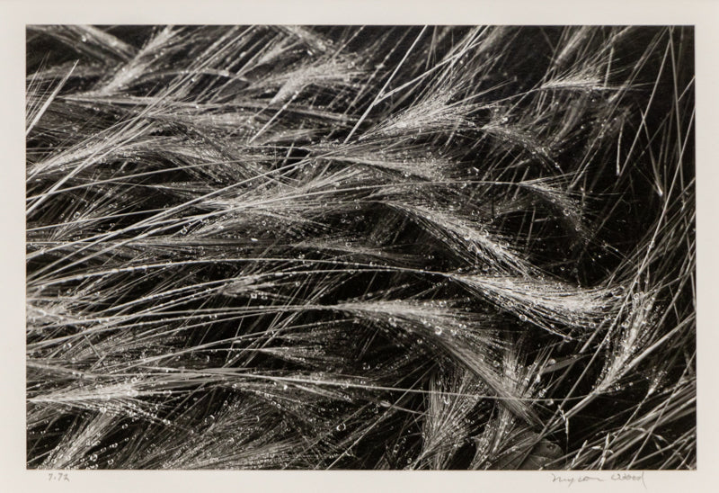 Broadmoor and Front Range (Colorado), Photograph, dated 1978, Myron Wood (1921-1999), vintage fine art, Horizontal, Small, Framed, photograph, dated 1978, 1950-1999, 1970s, 20th CENTURY (1900-1999), Myron, Wood, Landscape, 7 ¼ x 10 inches