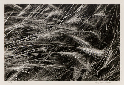 Broadmoor and Front Range (Colorado), Photograph, dated 1978, Myron Wood (1921-1999), vintage fine art, Horizontal, Small, Framed, photograph, dated 1978, 1950-1999, 1970s, 20th CENTURY (1900-1999), Myron, Wood, Landscape, 7 ¼ x 10 inches