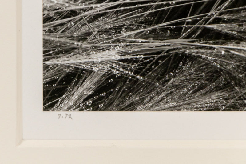 Broadmoor and Front Range (Colorado), Photograph, dated 1978, Myron Wood (1921-1999), vintage fine art, Horizontal, Small, Framed, photograph, dated 1978, 1950-1999, 1970s, 20th CENTURY (1900-1999), Myron, Wood, Landscape, 7 ¼ x 10 inches