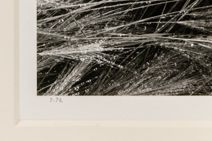 Broadmoor and Front Range (Colorado), Photograph, dated 1978, Myron Wood (1921-1999), vintage fine art, Horizontal, Small, Framed, photograph, dated 1978, 1950-1999, 1970s, 20th CENTURY (1900-1999), Myron, Wood, Landscape, 7 ¼ x 10 inches