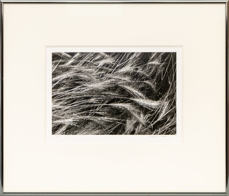 Broadmoor and Front Range (Colorado), Photograph, dated 1978, Myron Wood (1921-1999), vintage fine art, Horizontal, Small, Framed, photograph, dated 1978, 1950-1999, 1970s, 20th CENTURY (1900-1999), Myron, Wood, Landscape, 7 ¼ x 10 inches
