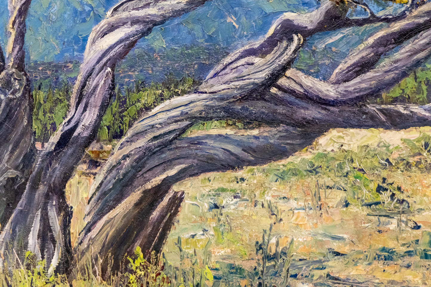 Battered by Wind and Storms, Sangre de Cristos (Colorado), Painting, circa 1980